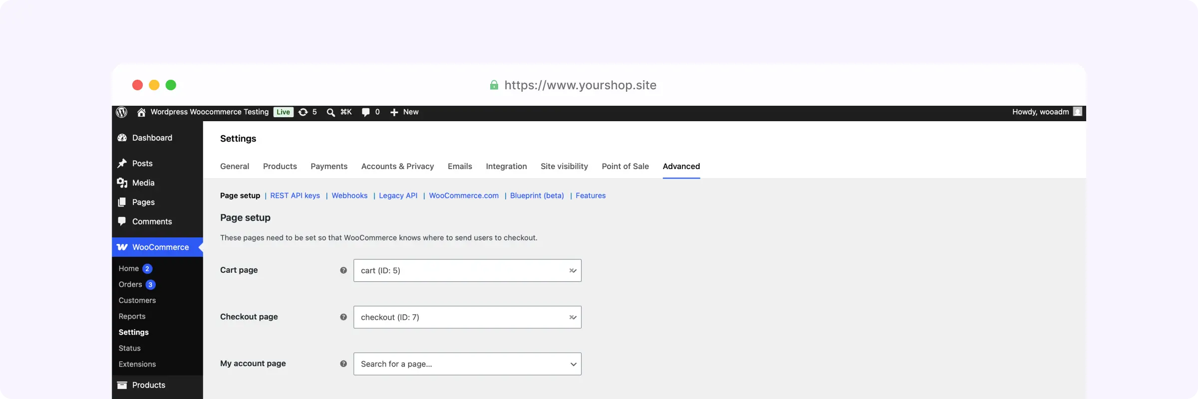 WooCommerce plugin preview
