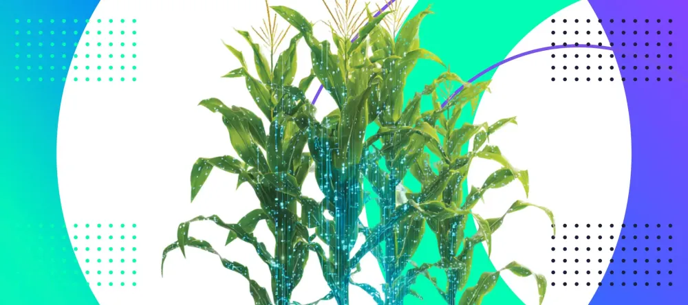 Tether invests in Latin America to prove that crypto can power real-world trade, not just financial speculation.