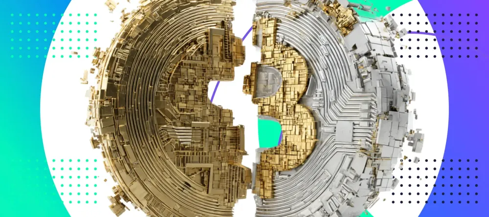 Modern payment infrastructure connects multiple settlement rails instead of relying on a single payment method.